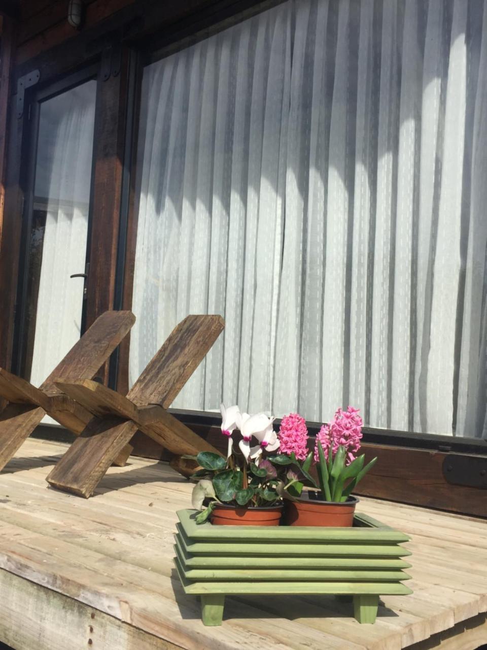 Palo Santo Bed & Breakfast Пичилему Екстериор снимка